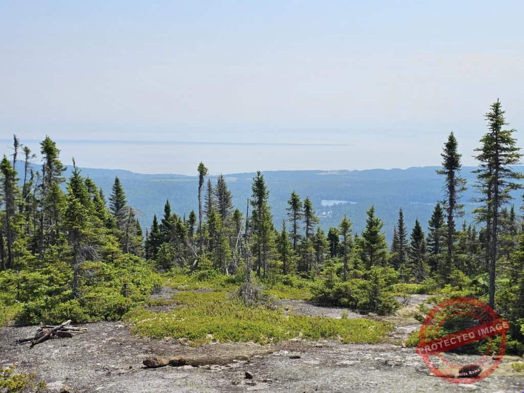Randonnée pédestre à la Montagne des Taillis via le sentier Orignac Centre situé près de Saint-Siméon dans la région de Charlevoix.