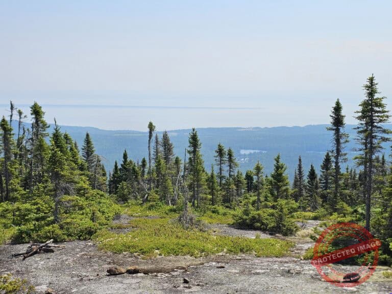 Randonnée pédestre à la Montagne des Taillis via le sentier Orignac Centre situé près de Saint-Siméon dans la région de Charlevoix.