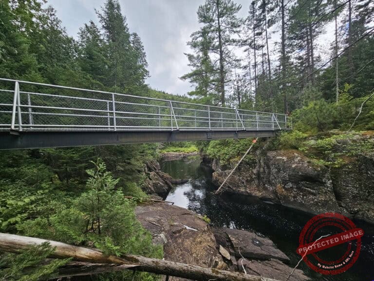 Une passerelle métallique enjambe une rivière rocheuse, au milieu d'une forêt verdoyante et dense, sous un ciel nuageux.