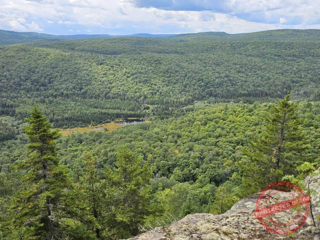 Vue depuis un rebord rocheux surplombant une vaste forêt aux collines verdoyantes et vallonnées, sous un ciel partiellement nuageux. Un petit étang et des clairières sont visibles au milieu des arbres touffus.