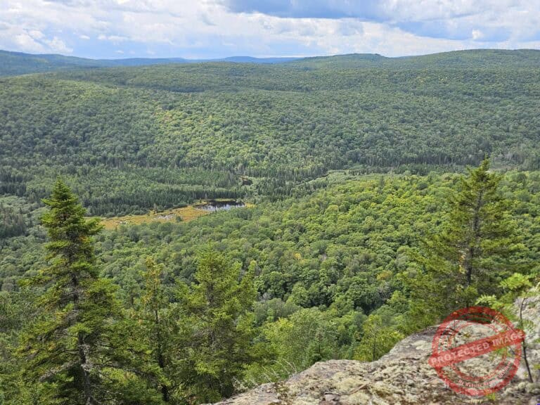 Vue depuis un rebord rocheux surplombant une vaste forêt aux collines verdoyantes et vallonnées, sous un ciel partiellement nuageux. Un petit étang et des clairières sont visibles au milieu des arbres touffus.
