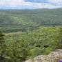 Vue depuis un rebord rocheux surplombant une vaste forêt aux collines verdoyantes et vallonnées, sous un ciel partiellement nuageux. Un petit étang et des clairières sont visibles au milieu des arbres touffus.