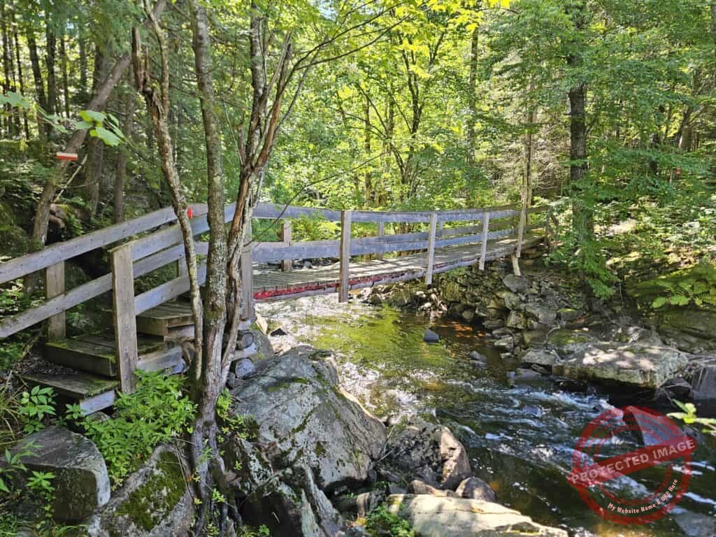 Une passerelle en bois enjambe un ruisseau rocheux aux eaux vives, entouré d'arbres à la verdure luxuriante et baigné par la lumière du soleil qui filtre à travers la forêt.